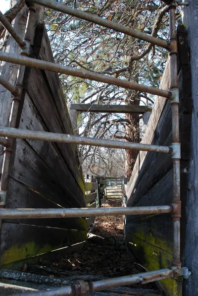 DSC_0018 (Large).JPG